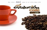 Evolucion del cafe