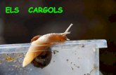 Presentació Cargols