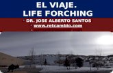 Viaje. LIFE FORCHING