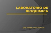 Laboratorio de bioquimica 1