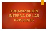 DERECHO PENITENCIARIO.Organización interna de las prisiones.