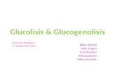 Glucolisis y Glucogenolisis