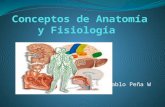 Generalidades de anatomia y fisiologia humana