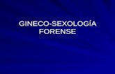 Gineco SexologíA Forense
