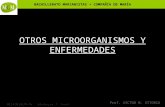 Microorganismos Y Enfermedades