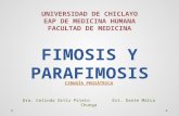 Fimosis y parafimosis