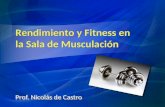 Rendimiento y Fitness en la sala de musculación