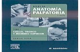 Atlas de anatomia palpatória   colo, tronco e membro superior [mundofisioterapia.blogspot.com]