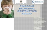 Síndrome Bronquial Obstructivo Agudo