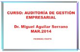 Curso Auditoría de Gestión MAR.2014 1ra. parte - Dr. Miguel Aguilar Serrano