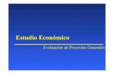 Financiera Gestion Analisis Proyecto