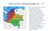 Región amazónica    COLOMBIANA