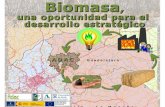 Presentación estudio Biomasa ADAC 14_03_2014