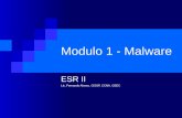 ESR II - Modulo 1 - Codigo Malicioso