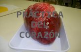 Corazon By G