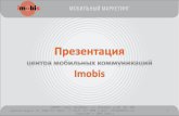 Imobis Presentation1
