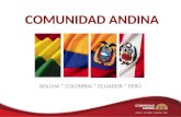 Presentación de la Agenda Ambiental Andina 2012-12016