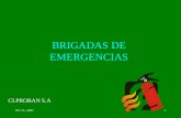 Capacitación de brigadas de emergencias