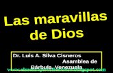 CONF. LAS MARAVILLAS DE DIOS. No. 3. CON RESPUESTA DEL CRUCIGRAMA