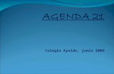 Agenda 21 Ayuntamiento
