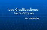 Las clasificaciones taxonómicas