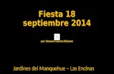Fiesta 18 septiembre 2014