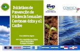 Iniciativa de Prevención de Violencia Sexual en Centro América. Dra Addis Dominguez. Comisión Técnica de Género y Salud,  GTGS COMISCA/COMMCA
