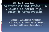 Globalización y sostenibilidad Urbana. Adrian Guillermo Aguilar Instituto de Geografia, UNAM