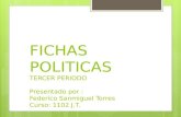 Fichas politicas 3er periodo