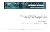 Interoperabilidad y Repositorios: el Grupo de Trabajo SONEX