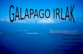 Galapago Irlak