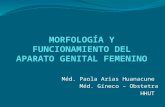 Morfología y funcionamiento del aparato genital femenino