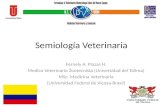 Introducción a la Semiología Veterinaria