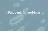 Patogenia Microbiana