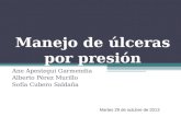 (2013-10-29) Manejo de las úlceras por presión (ppt)