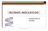 Ud. 1  Los Acidos Nucleicos