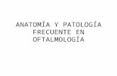 Anatomía y patología frecuente en oftalmología