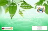 Proyecto pedagogico medio ambiente sustentacion