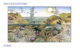 Els ecosistemes dibuixos