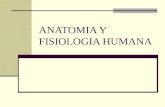 Anatomia y-fisiologia-humana-1208539518296619-9