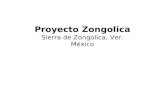 Zongolica, comunidades indígenas en extrema pobreza que necesitan ayuda