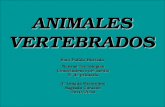 ...Animales vertebrados...