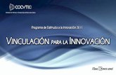 Programa de estímulos a la innovación 2011 01-20