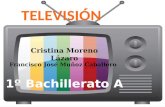 LA TELEVISIÓN DIGITAL TERRESTRE (TDT) EN ESPAÑA