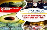 Boletín virtual "Lambayeque Exporta Ya", Edición N° 22, setiembre 2011