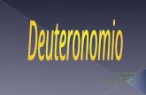 Deuteronomio Grupo