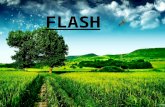 Presentacion de flash