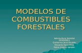 Modelos combustibles forestales