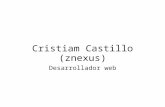 Cristiam Castillo Znexus
