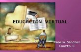EducacióN Virtual Pame